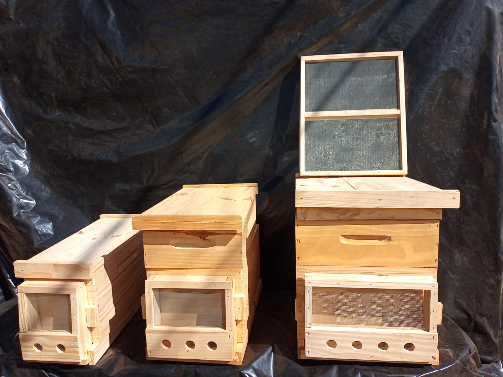 WhatsApp Image 2023-12-28 at 09.43.29.jpeg