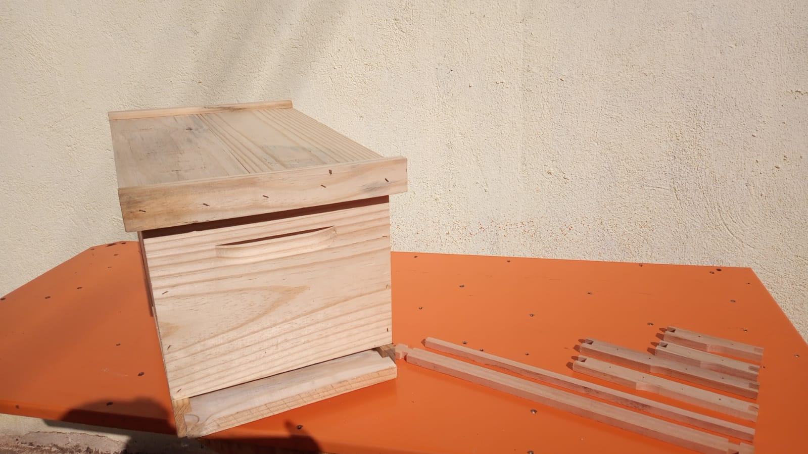 WhatsApp Image 2022-05-01 at 08.56.37.jpeg