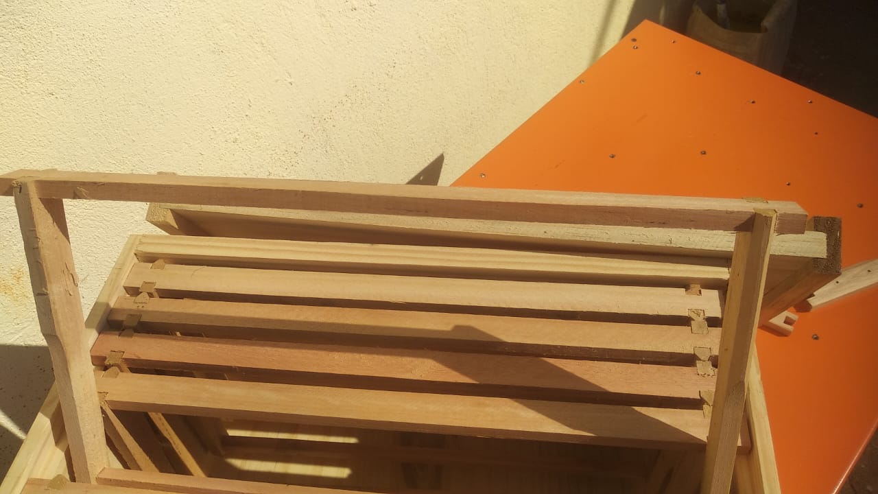 WhatsApp Image 2022-05-01 at 09.09.16.jpeg