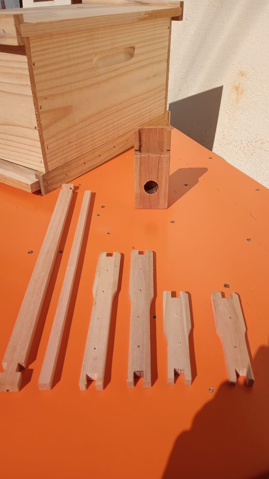 WhatsApp Image 2022-05-01 at 08.59.00.jpeg