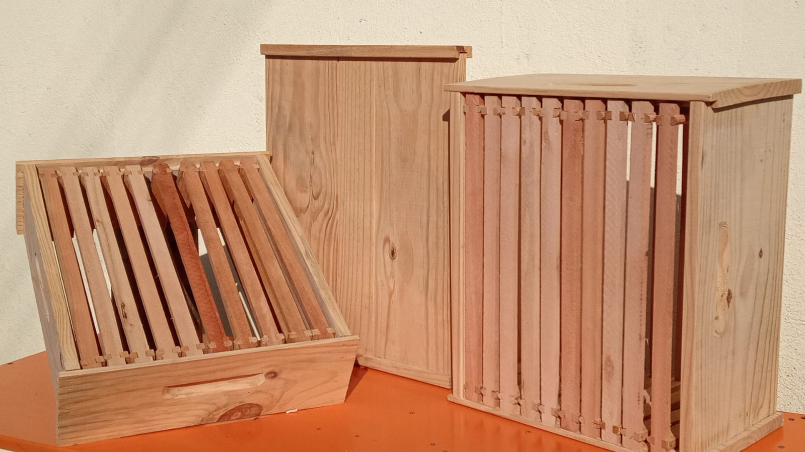 WhatsApp Image 2022-05-01 at 08.09.55.jpeg