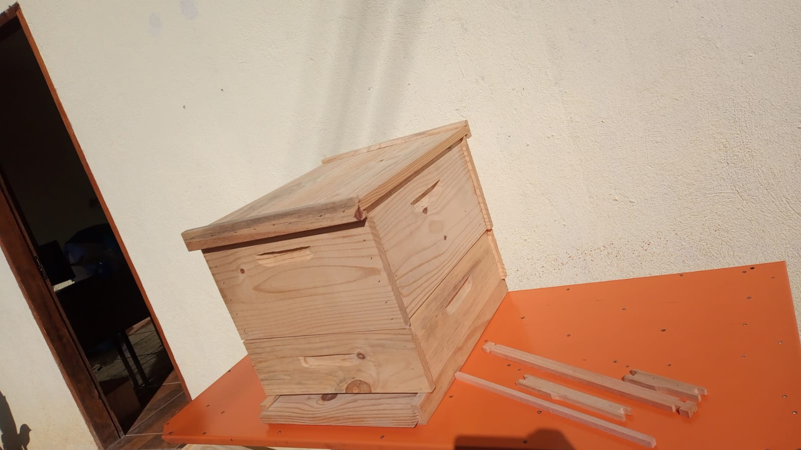 WhatsApp Image 2022-05-01 at 08.45.02.jpeg