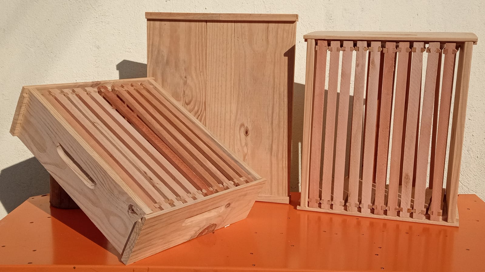 WhatsApp Image 2022-05-01 at 08.10.54.jpeg