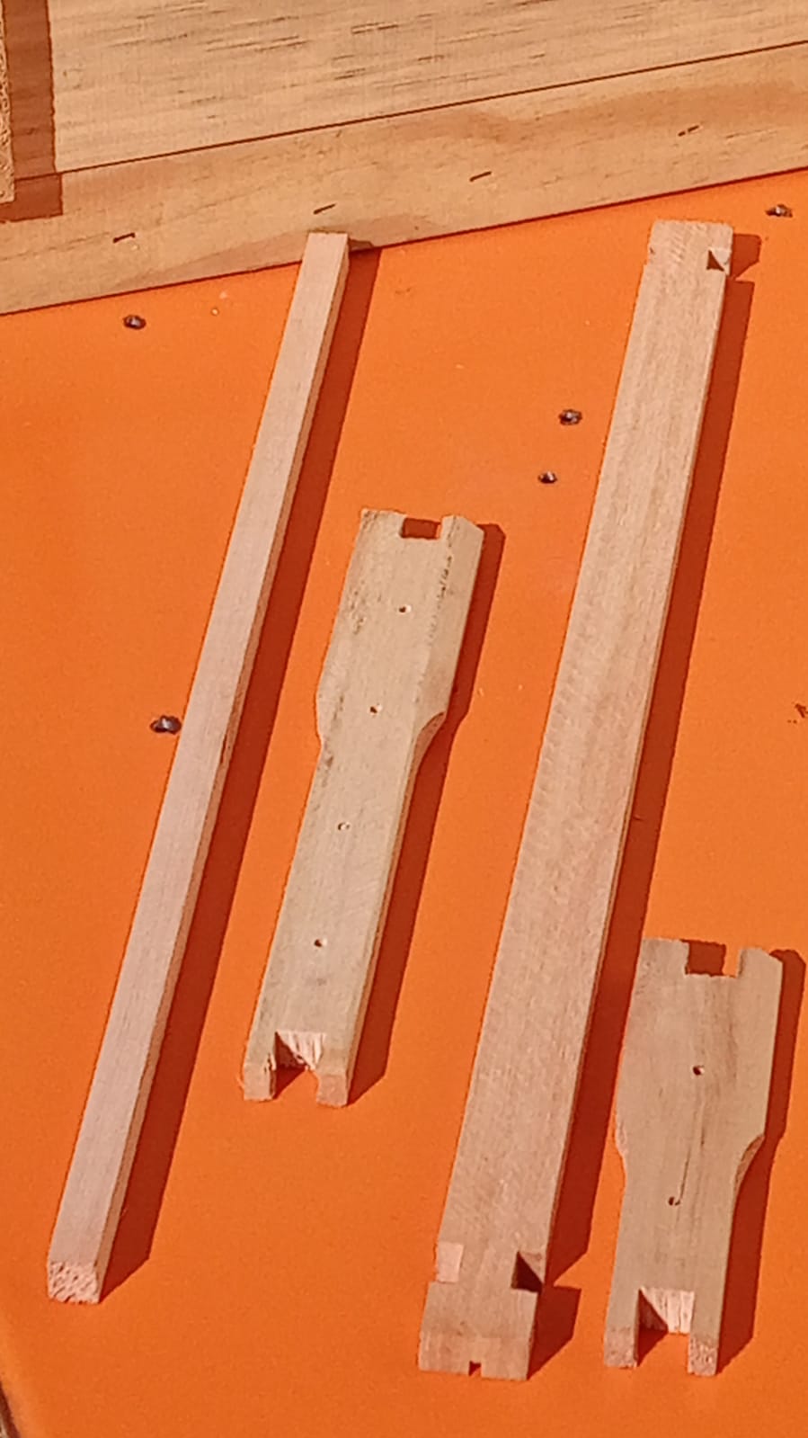 WhatsApp Image 2022-05-01 at 08.48.01.jpeg