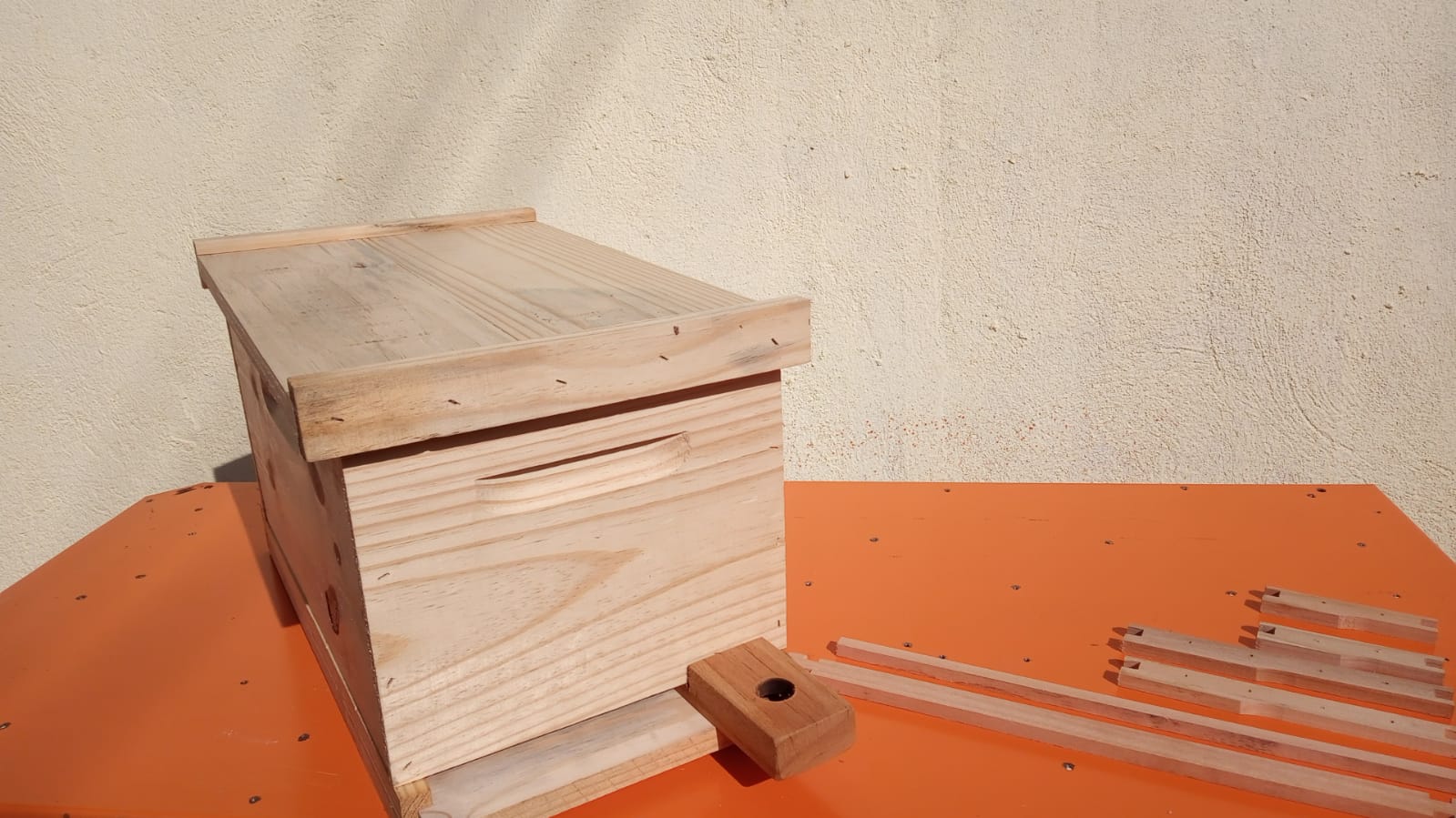 WhatsApp Image 2022-05-01 at 08.58.40.jpeg