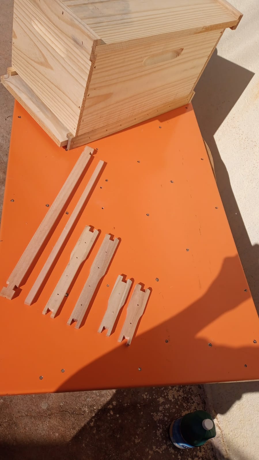 WhatsApp Image 2022-05-01 at 08.54.38.jpeg