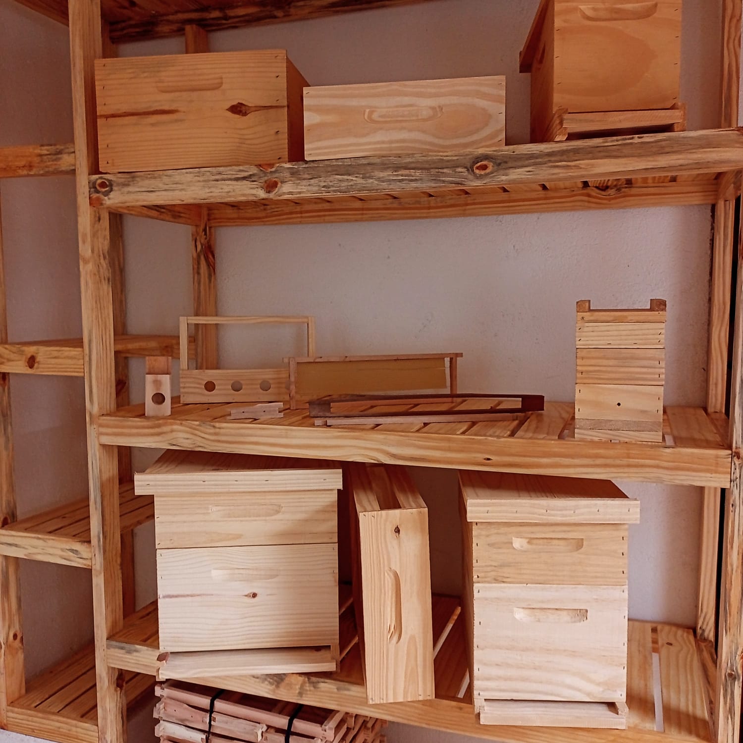 WhatsApp Image 2023-12-28 at 09.33.48.jpeg