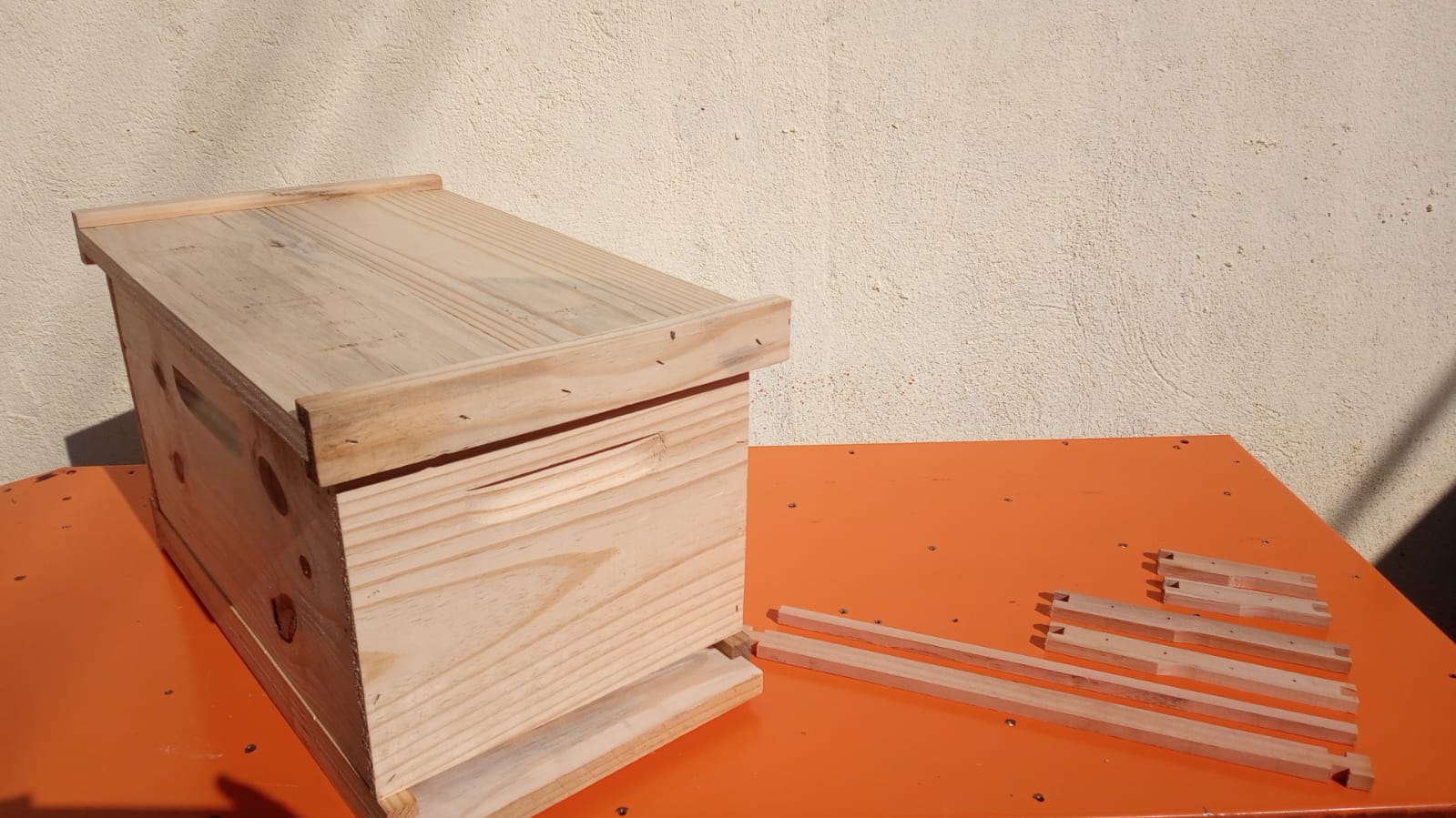 WhatsApp Image 2022-05-01 at 08.55.29.jpeg