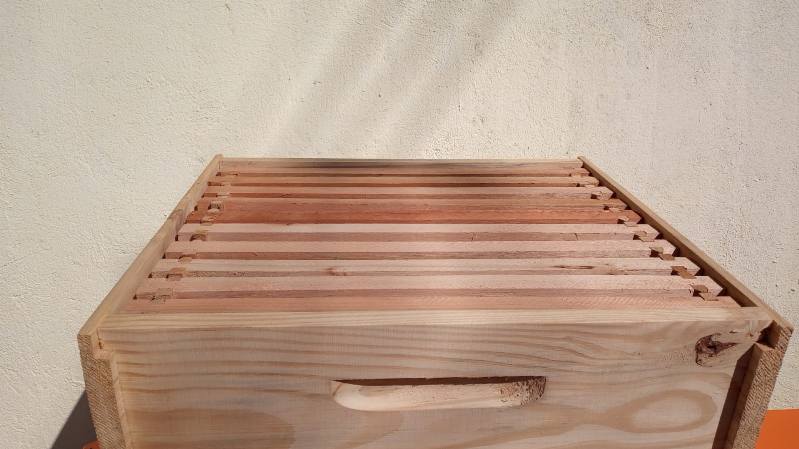 WhatsApp Image 2022-05-01 at 09.13.01.jpeg